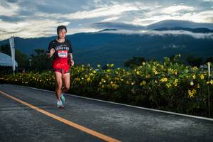 BIB: 
                            <button type="button" onclick="openModal(26538629)" class="btn btn-primary btn-sm float-right btn-popup" data-toggle="modal" data-target=".modal-high-quality">
                        <i class="fas fa-shopping-cart"></i> Add to Cart
                    </button>
                                            <button type="button" onclick="isThisMe(26538629, true)" class="btn btn-success btn-sm float-right btn-popup btn-isme hidden" data-toggle="tooltip" data-placement="bottom" title="นี่คือรูปของคุณใช่ไหม คลิกที่นี่เพื่อเอาเข้าอัลบั้ม">
                        <i class="fas fa-plus"></i> Add to album
                    </button>
                    <button type="button" onclick="isThisMe(26538629, false)" class="btn btn-warning btn-sm float-right btn-popup btn-isnotme hidden">
                        <i class="fas fa-ban"></i> Remove from album
                    </button>